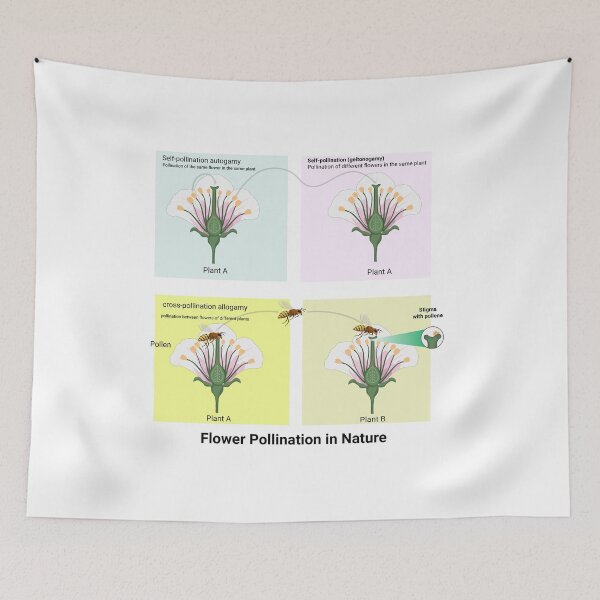 Item preview, Diagram showing pollination with flower and bee illustration . Flower Pollination in Nature science poster  designed and sold by KARTICK DUTTA.