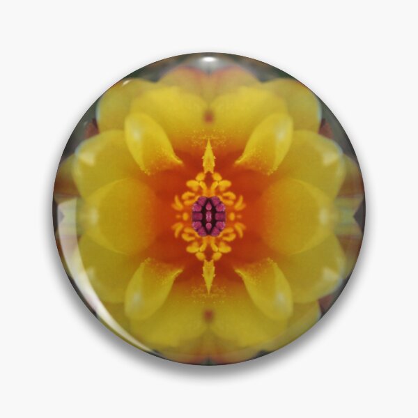 Item preview, Gymnocalicium nubes designed and sold by MittyDesques.