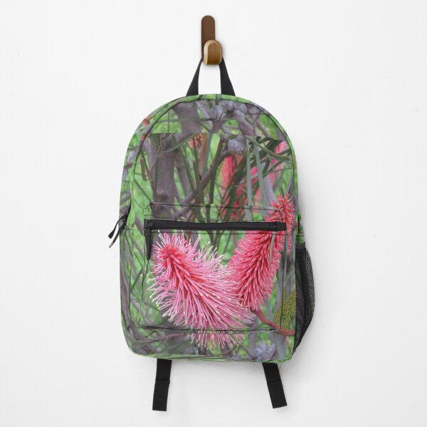 Item preview, Hakea francisiana flowers designed and sold by greentiger1.