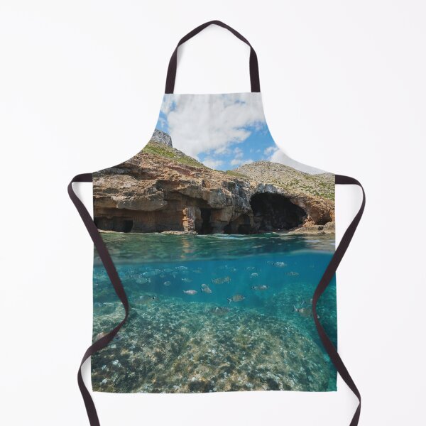 Item preview, Cave coastline with shoal of fish underwater Spain designed and sold by Seaphotoart.