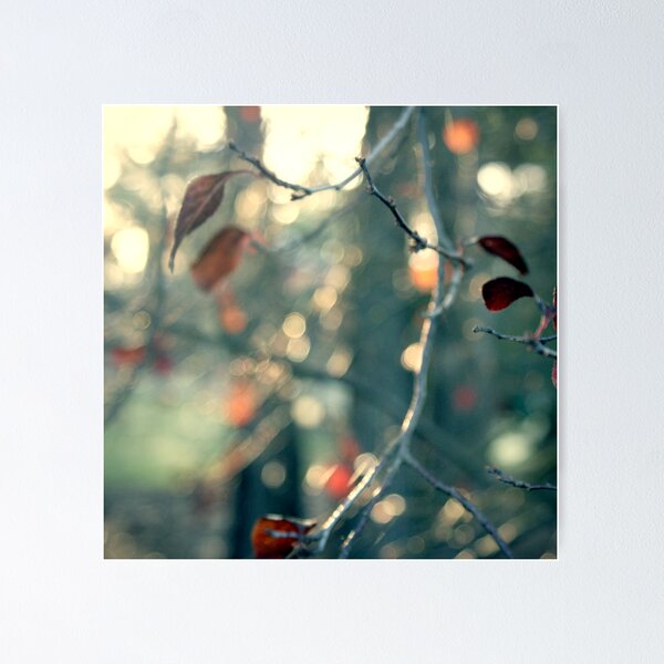 Item preview, Painting with Sunshine designed and sold by James McKenzie.