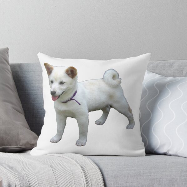 Item preview, Poised Shiba designed and sold by jaredhello.