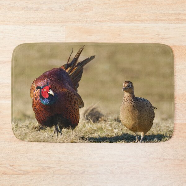 Item preview, Pheasant Courtship designed and sold by rawshutterbug.