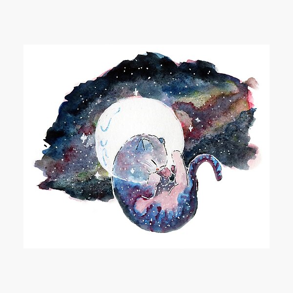 Space Cat Photographic Print