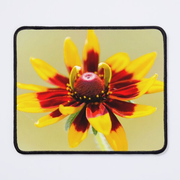 Item preview, Rudbeckia designed and sold by JEZ22.