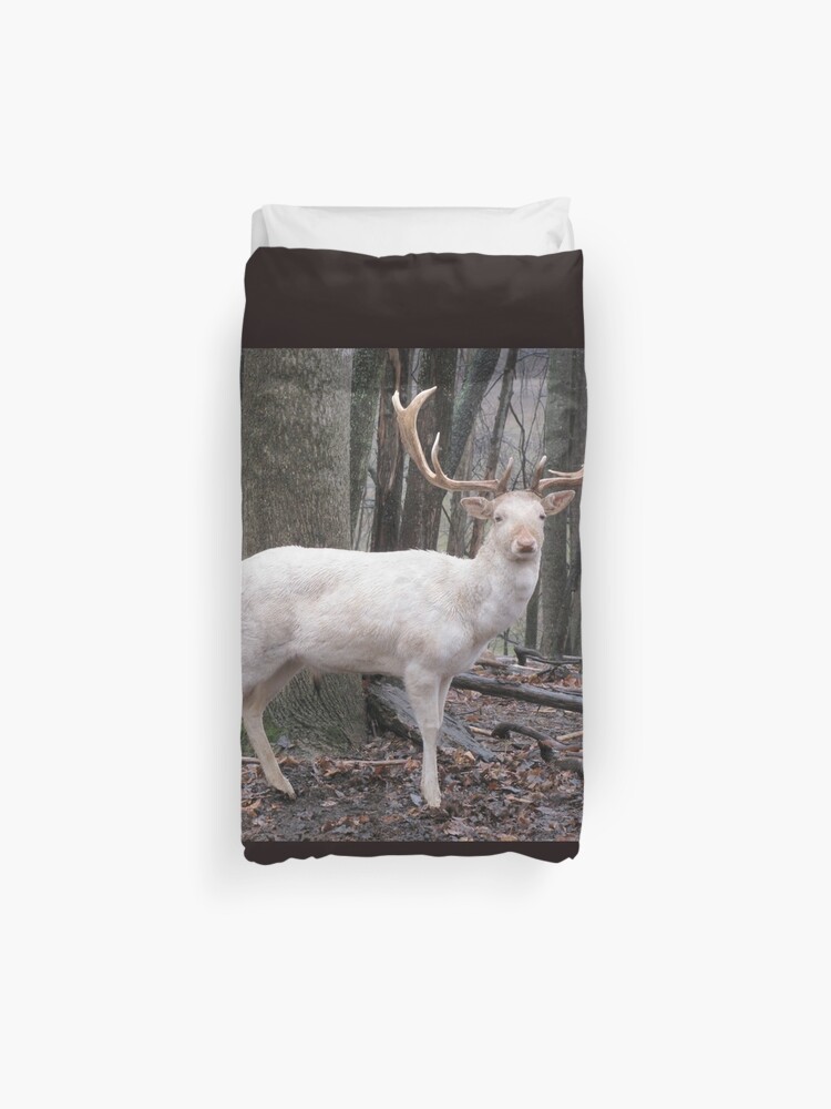 White Fallow Deer Leucistic Duvet Cover By Ginnyy Redbubble