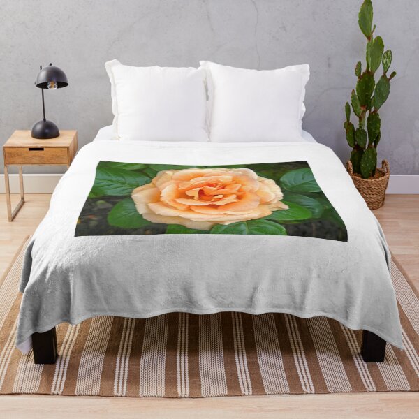 Item preview, Apricot Rose designed and sold by Graeme  Hyde.