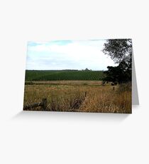 Peninsula Vineyards,Mornington Peninsula,Victoria, Greeting Card
