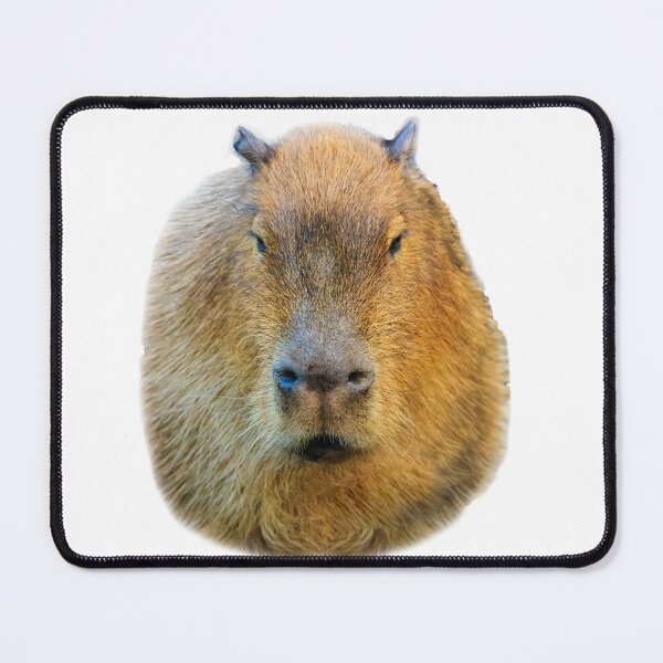 Item preview, Capybara head designed and sold by Dalyndigital Photography.