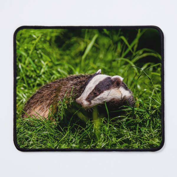 Item preview, Mr Brock the Badger designed and sold by Dalyndigital Photography.