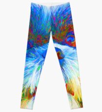 Colorful Shih Tzu Abstract Leggings