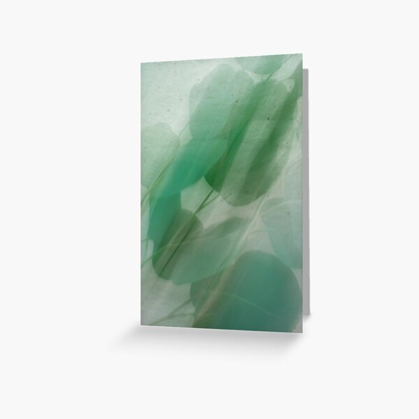 Fleur Blur Series-Abstract Eucalyptus Leaves Greeting Card