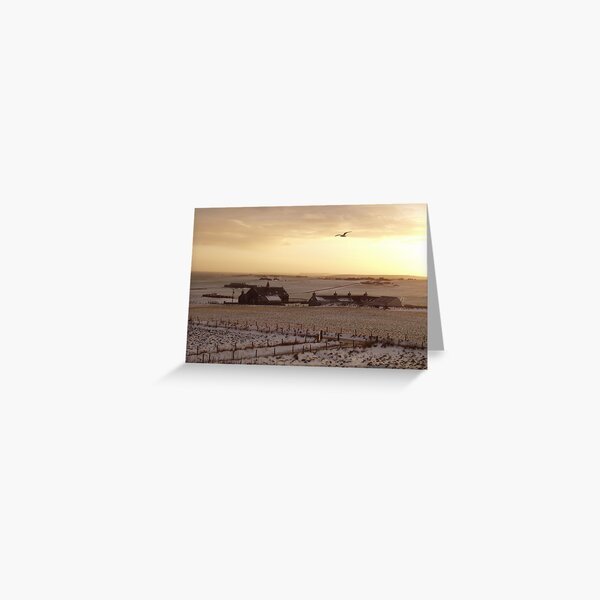 Winter sunset Greeting Card