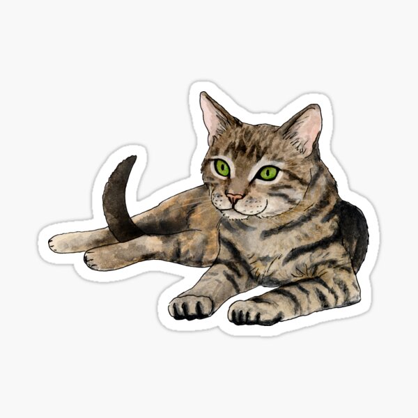 Long Haired Brown Tabby Cat Sticker Decal Brown Cat Water 