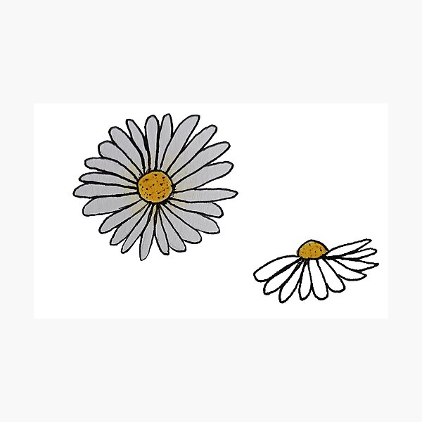 Item preview, Hermosas margaritas blancas designed and sold by Infinitysplash.