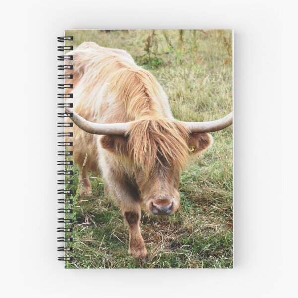 Item preview, Highland Cow designed and sold by gaylefano.
