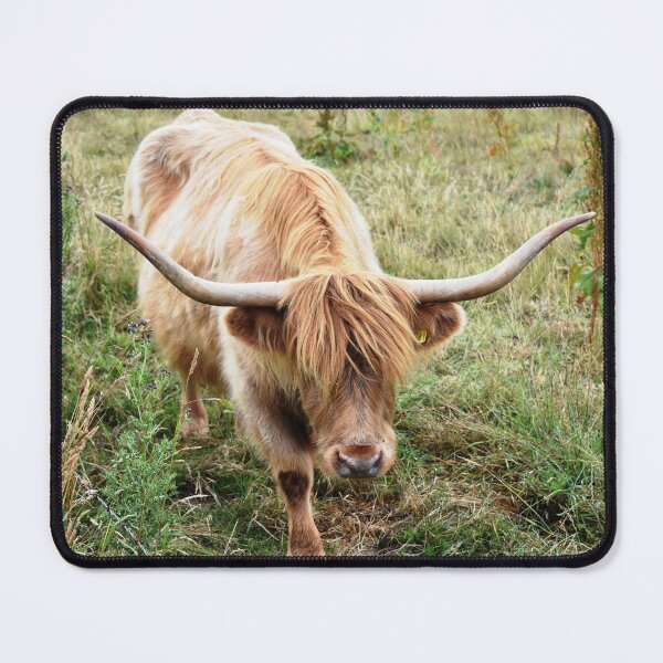 Item preview, Highland Cow designed and sold by gaylefano.