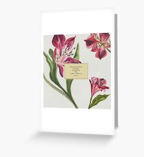 You're mine, mo duinne... Jamie Fraser. Outlander. Greeting Card