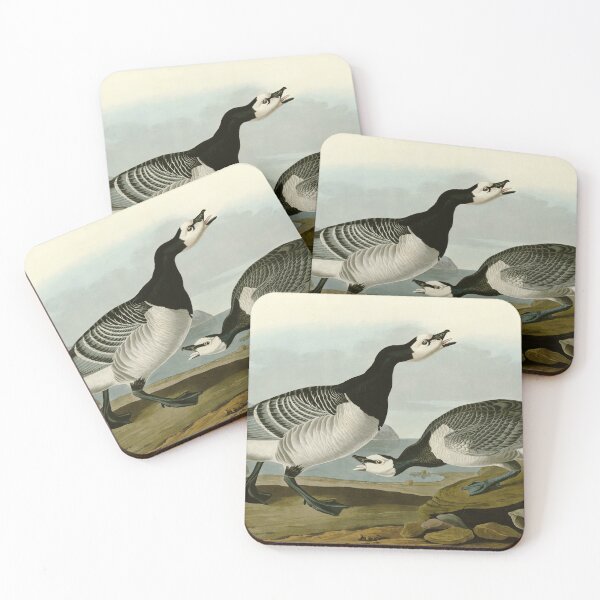 Item preview, Barnacle Goose - John James Audubon Birds of America designed and sold by Natural History Prints.