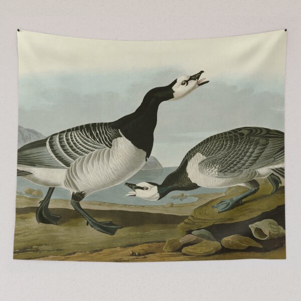Item preview, Barnacle Goose - John James Audubon Birds of America designed and sold by Natural History Prints.