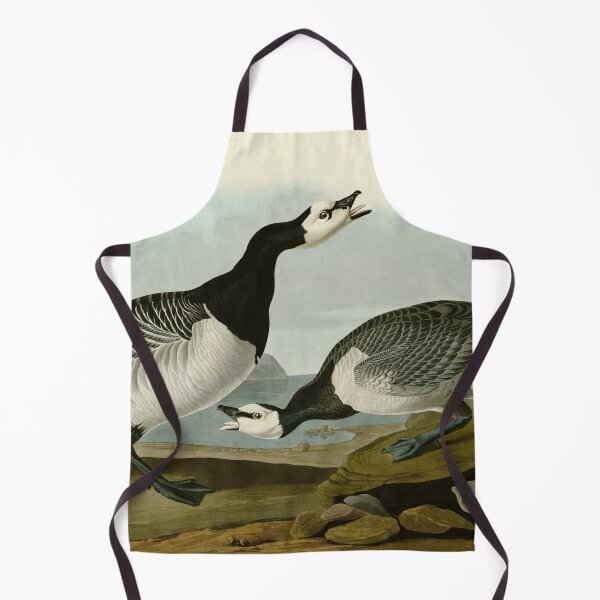 Item preview, Barnacle Goose - John James Audubon Birds of America designed and sold by Natural History Prints.