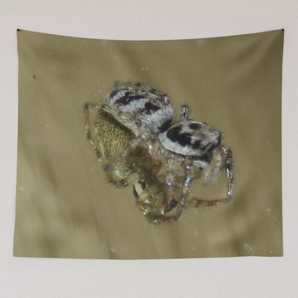 Item preview, Zebra Jumping Spider Reflection designed and sold by AnnDixon.