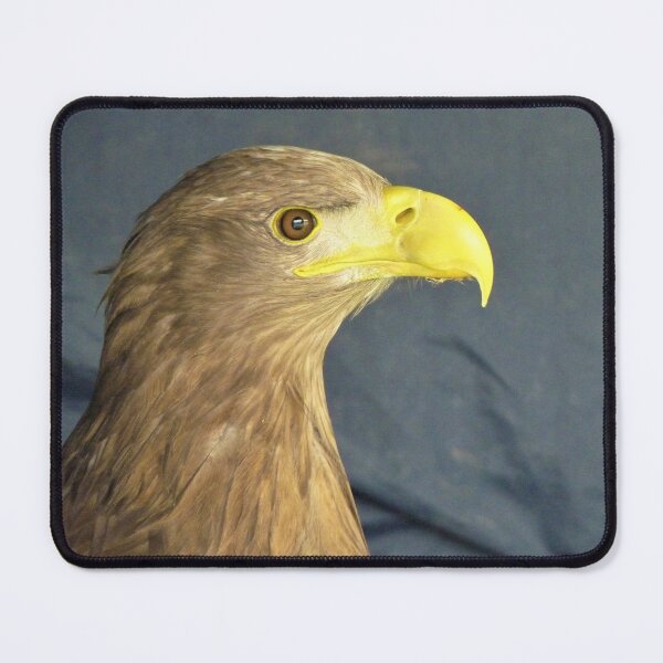 Item preview, Eagle Head designed and sold by Fearless-Fox.
