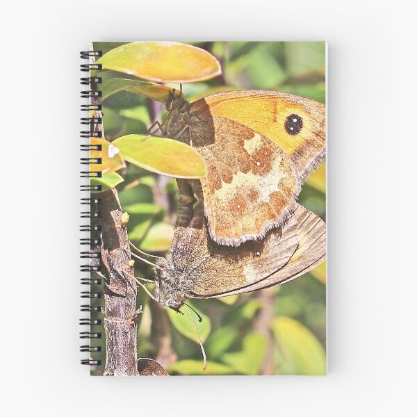Item preview, Gatekeeper Butterflies designed and sold by John Thurgood.