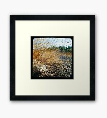 35 Degrees C Framed Print