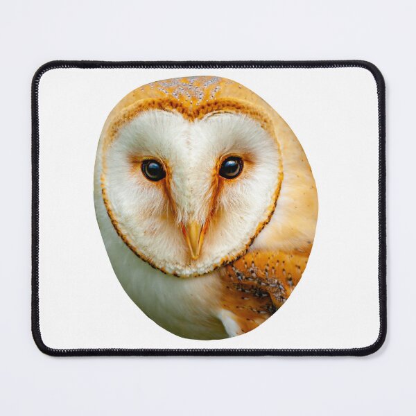 Item preview, The Face of a Barn Owl designed and sold by Dalyndigital Photography.