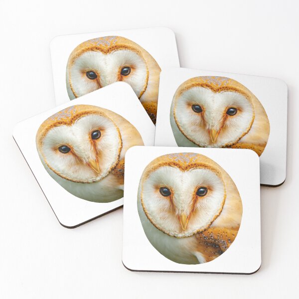 Item preview, The Face of a Barn Owl designed and sold by Dalyndigital Photography.