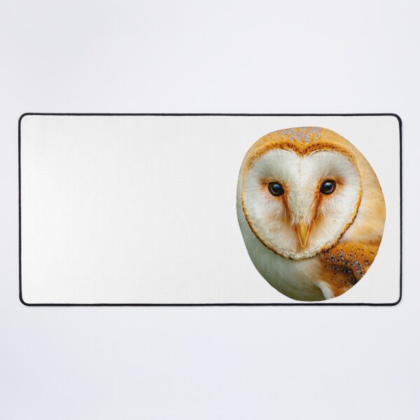 Item preview, The Face of a Barn Owl designed and sold by Dalyndigital Photography.