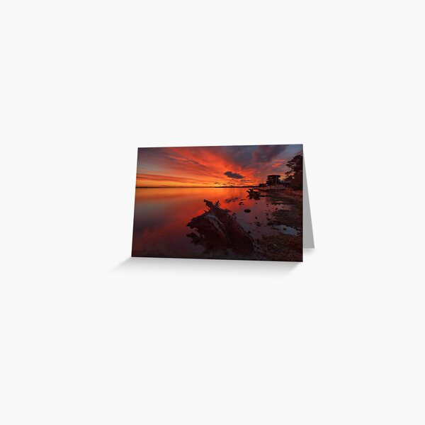 Greeting Card