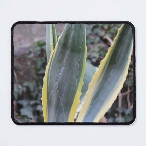 Item preview, Agave leaves designed and sold by craftycatmom.