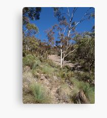 Grass trees on scree Canvas Print