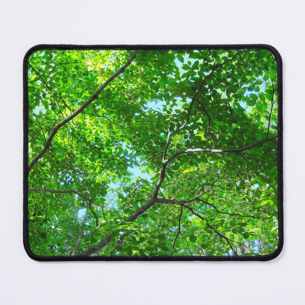 Item preview, Green Leaves, Branches and Blue Sky designed and sold by Marymarice.