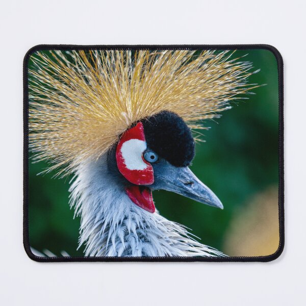 Item preview, Crowned Crane designed and sold by Dalyndigital Photography.