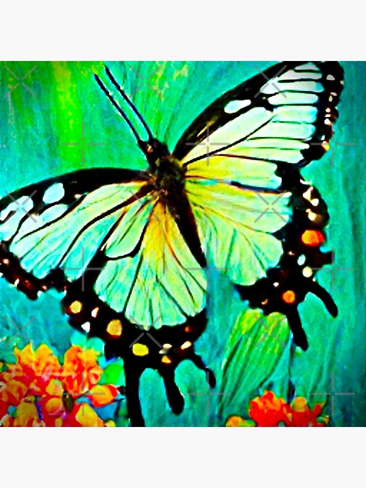 "Butterfly Flying Over Open Field" Poster for Sale by mrtom414 Redbubble