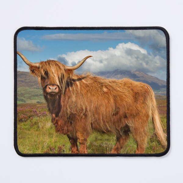 Item preview, Highland Cow Isle of Skye Scotland. designed and sold by PhotosEcosse.