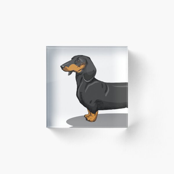 dachshund. sketch. Acrylic Block
