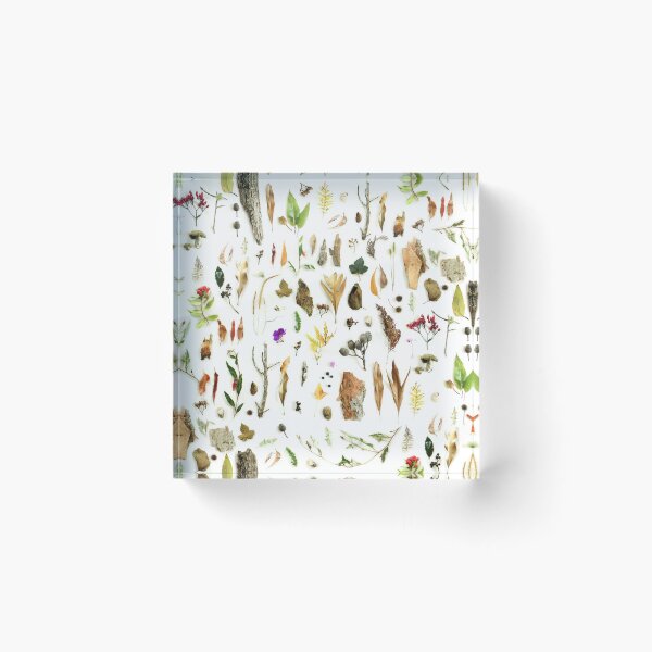 Item preview, Australian Bushland designed and sold by ThistleandFox.