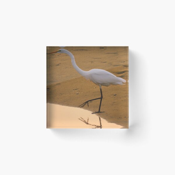 Item preview, One Small Step designed and sold by davidgellman.