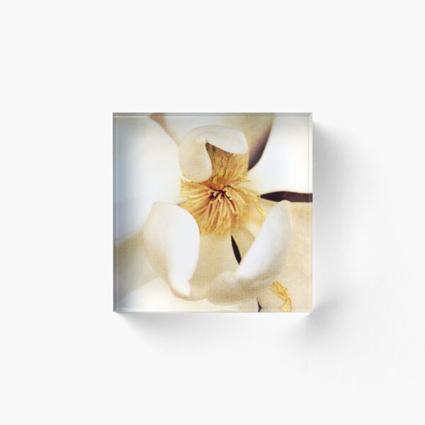 Item preview, Magnolia Grandiflora designed and sold by Margi.