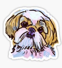 Pegatina el amor Shih Tzu de mi vida!