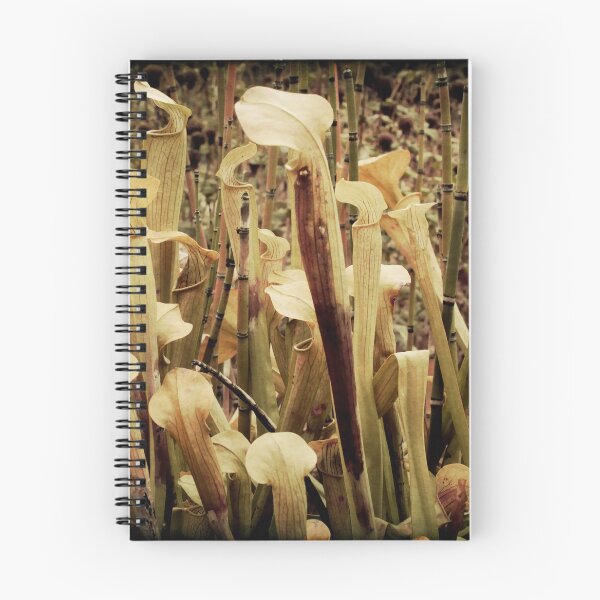 Item preview, Pitcher Plants designed and sold by Margi.