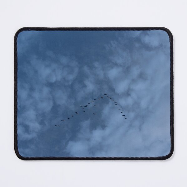 Item preview, A V of flying birds designed and sold by craftycatmom.