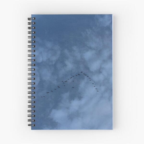 Item preview, A V of flying birds designed and sold by craftycatmom.