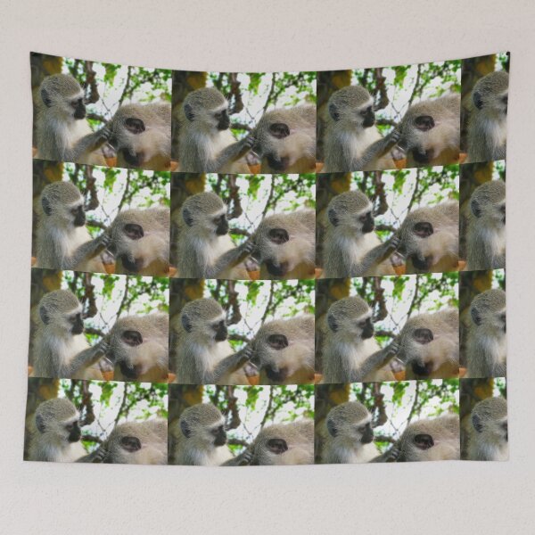 Item preview, Vervet Monkeys, Kruger National Park, South Africa designed and sold by vadim19.
