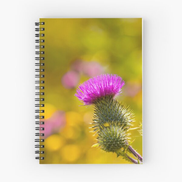 Item preview, Prickly Beauty II designed and sold by Veikko  Suikkanen.
