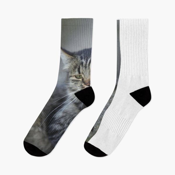 Item preview, Portrait of cute wild cat designed and sold by olena2552.